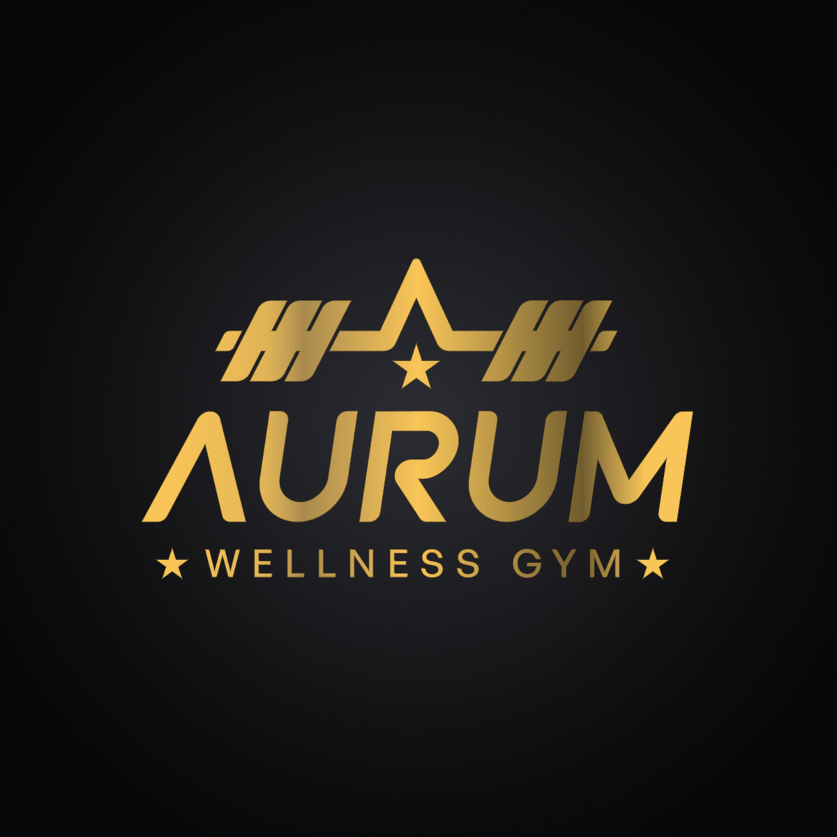Aurum Wellness Gym